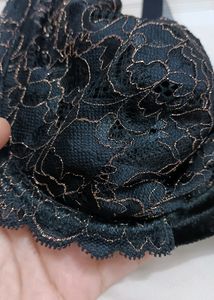 Lace And Velvet Designer Bra
