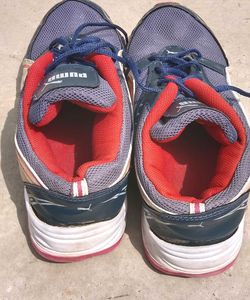 Puma Grey &amp; Red Sneakers