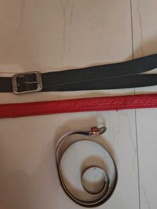 Set of 3 Women's Belts