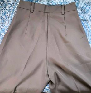 Stylish Pleated Taupe Pants