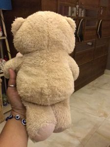 Cute Teddy Bear with Love Heart