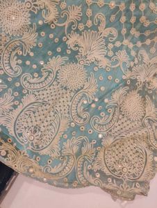 Elegant Embroidered lehenga