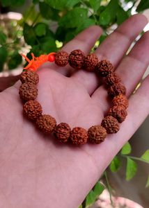 Panchmukhi Rudraksha Bracelet