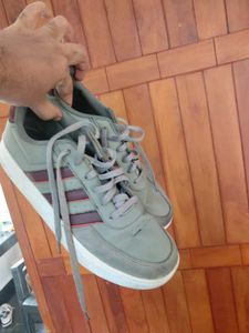 Adidas Sneakers - Grey/Burgundy
