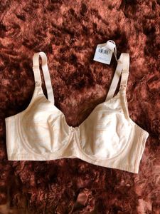 Comfortable Padded Bra