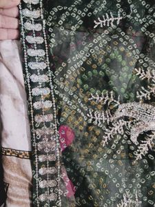 Embroidered Georgette Saree