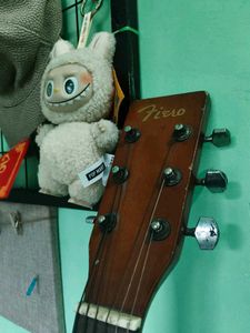 Fiera Customized Acoustic Guitar