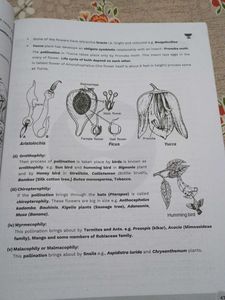 NEET UG Class 12 Modules