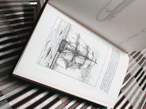 Voyage of the Beagle by Charles Darwi