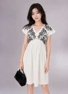 Elegant Embroidered V-Neck Dress