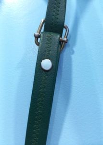 Chic Green Crossbody Bag