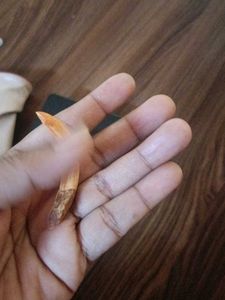 Unique Tusk boar teeth