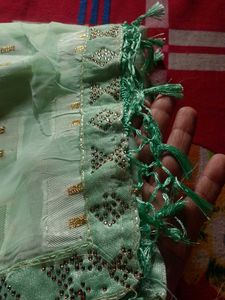 Elegant Pastel Green Saree