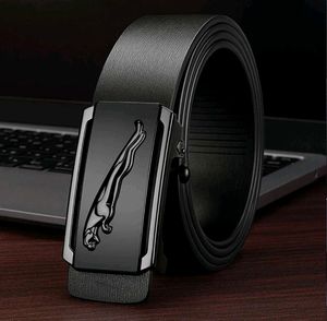Brand New Jaguar Black Synthetic Belt