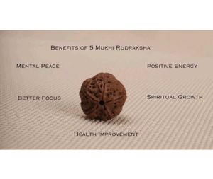 Authentic Rudraksha Pendant