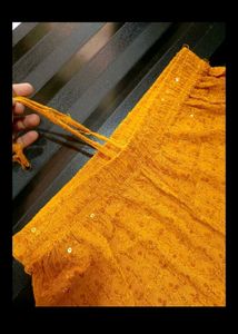 Chikankari work plazo 💛