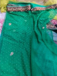 Elegant Green Embellished Saree