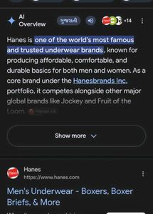 Hanes Men's Boxer Briefs.