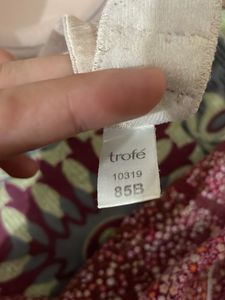 38B Comfortable Everyday Beige Bra