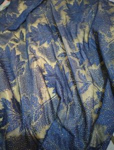 Beautiful Blue Embellished Gown