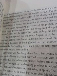 Until August Novel