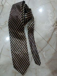 Striped Men's Tie
