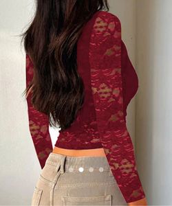 Sheer Lace Long Sleeve Top