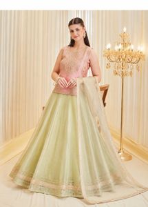 Elegant Ethnic Lehenga Choli Set