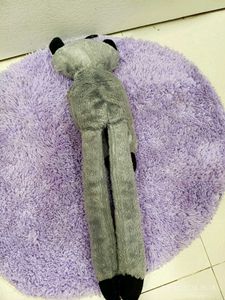 Cute Raccoon curtain Plush Toy