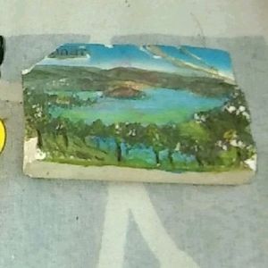 K. J.  Toys, Mould, A Fridge Magnet