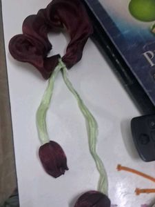 Scrunchie