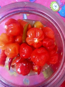 Hygiene Achaar Red Round Chilly Only With Lemon