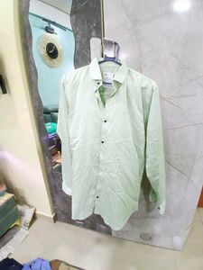 Light Green Button-Down Shirt