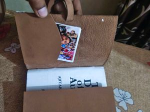 The Diary of an Author