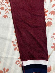 HRX Maroon Activewear Leggings