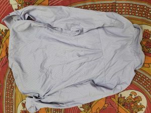 Classic Striped women formal Shirt