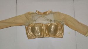 Beautiful Golden Net Designer Blouse