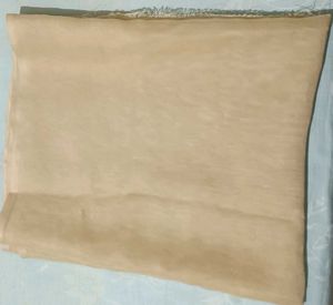 Elegant Plain Beige Dupatta