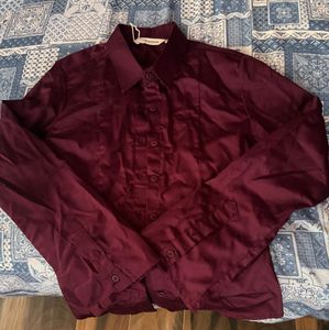 Elegant Burgundy Long Sleeve Blouse