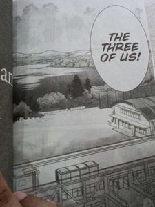 Your Name. Manga Set