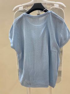 Light Blue Sparkle Knit Top