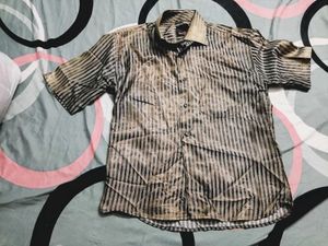 Striped half sleeve Shirt