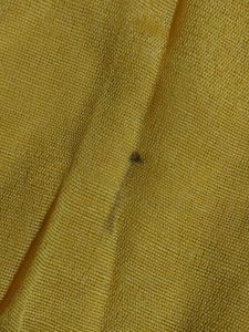 Yellow Handloom Duppatta Lightweight