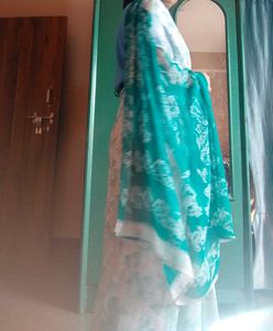 Beautiful Sea Green Saree