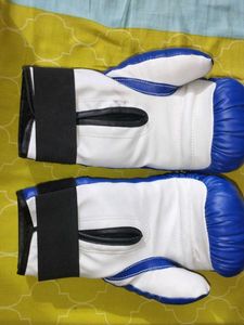 Boxing gloves, used 2 times , original gloves