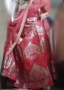 Women's Organza Lehenga Choli with Blouse