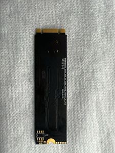 256GB M.2 SSD