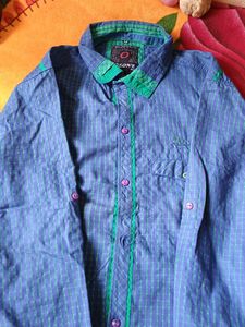 Blue Button-Down Shirt