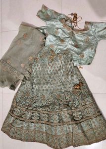Elegant Embroidered Lehenga Choli Set