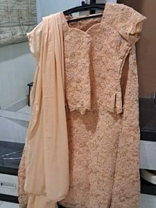 Elegant Peach  Lehenga Choli